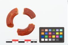 Foto von Bernsteinring (NHMW-PRAE-025174)